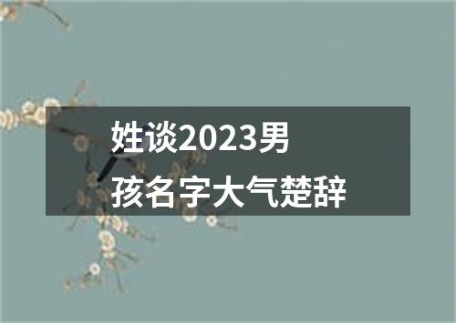 姓谈2023男孩名字大气楚辞
