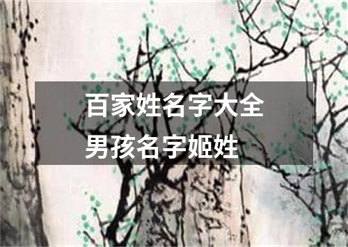 百家姓名字大全男孩名字姬姓