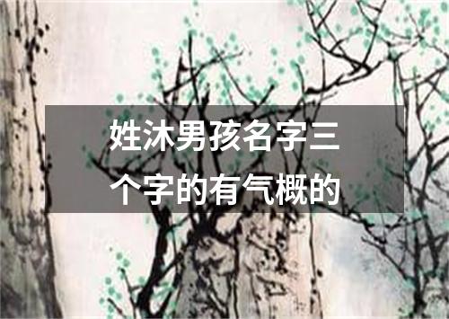 姓沐男孩名字三个字的有气概的