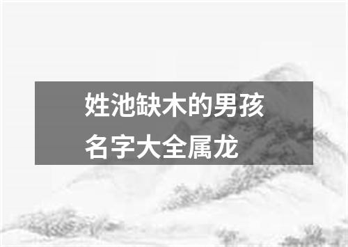 姓池缺木的男孩名字大全属龙