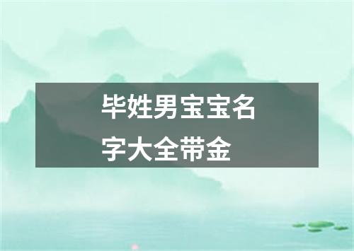 毕姓男宝宝名字大全带金