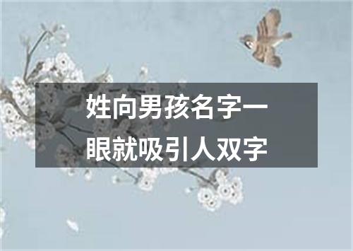 姓向男孩名字一眼就吸引人双字