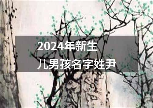 2024年新生儿男孩名字姓尹