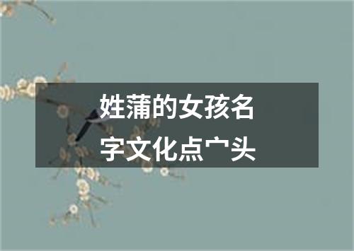 姓蒲的女孩名字文化点宀头