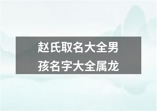 赵氏取名大全男孩名字大全属龙