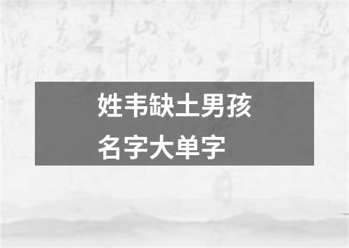 姓韦缺土男孩名字大单字