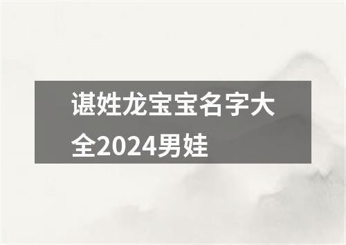 谌姓龙宝宝名字大全2024男娃