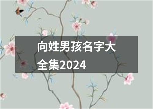 向姓男孩名字大全集2024