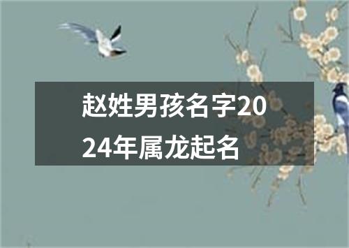 赵姓男孩名字2024年属龙起名