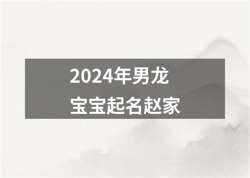 2024年男龙宝宝起名赵家