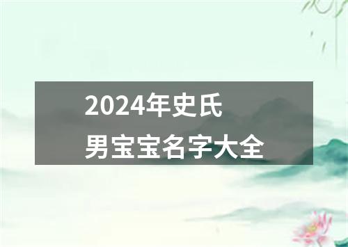 2024年史氏男宝宝名字大全