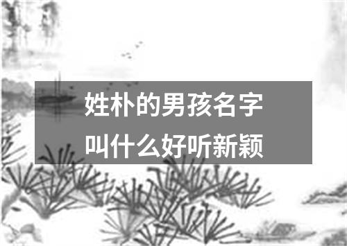 姓朴的男孩名字叫什么好听新颖