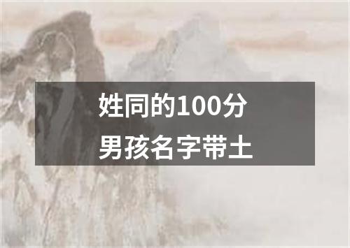 姓同的100分男孩名字带土