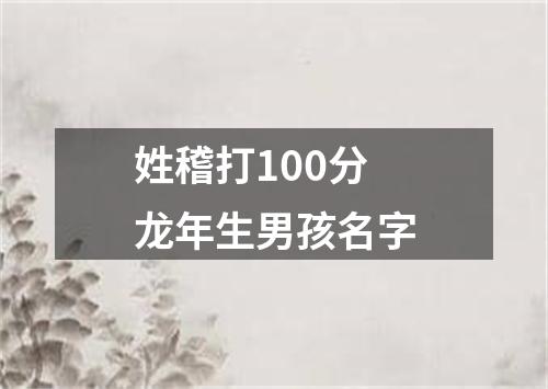 姓稽打100分龙年生男孩名字