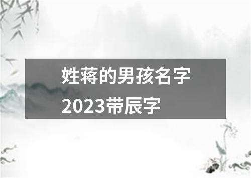 姓蒋的男孩名字2023带辰字
