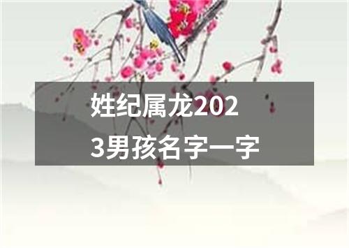 姓纪属龙2023男孩名字一字