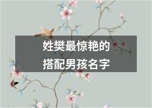 姓樊最惊艳的搭配男孩名字