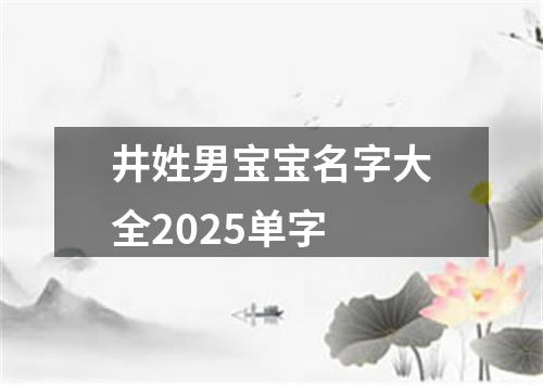 井姓男宝宝名字大全2025单字