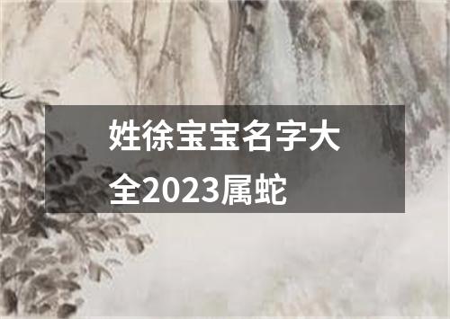 姓徐宝宝名字大全2023属蛇