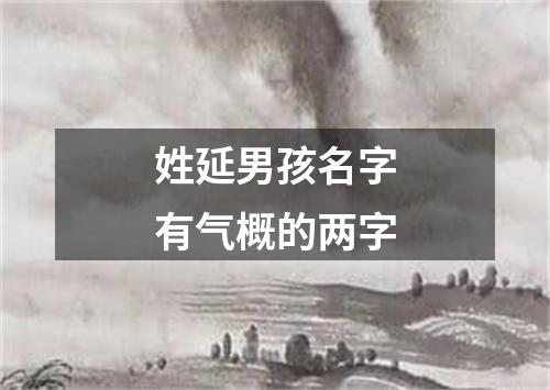 姓延男孩名字有气概的两字