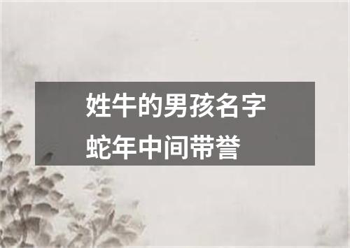 姓牛的男孩名字蛇年中间带誉