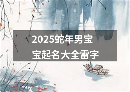 2025蛇年男宝宝起名大全雷字