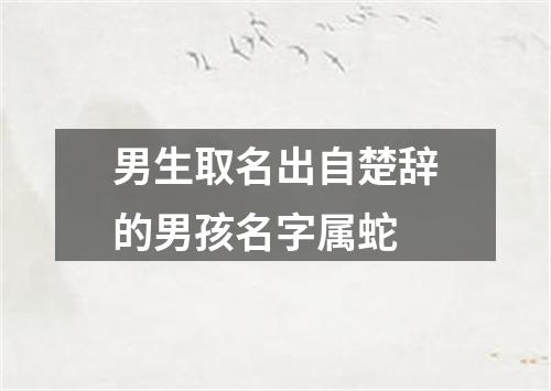 男生取名出自楚辞的男孩名字属蛇