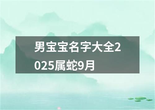 男宝宝名字大全2025属蛇9月