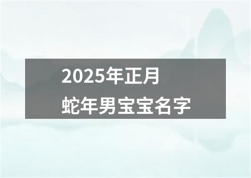 2025年正月蛇年男宝宝名字