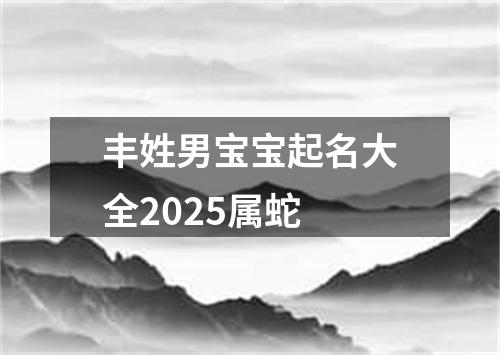 丰姓男宝宝起名大全2025属蛇