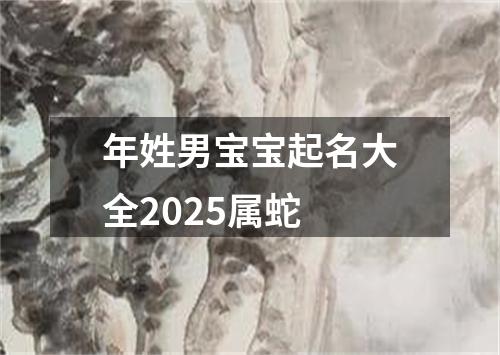 年姓男宝宝起名大全2025属蛇