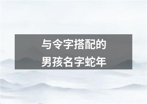 与令字搭配的男孩名字蛇年