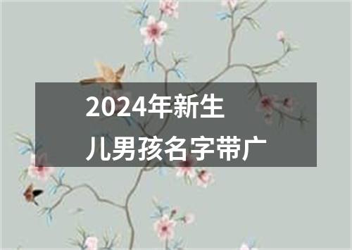 2024年新生儿男孩名字带广