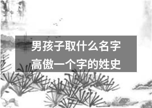 男孩子取什么名字高傲一个字的姓史
