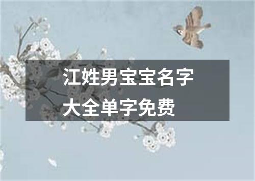 江姓男宝宝名字大全单字免费