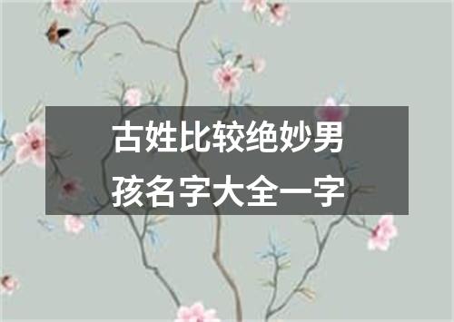 古姓比较绝妙男孩名字大全一字