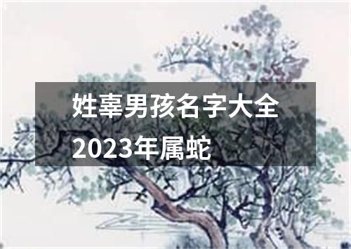 姓辜男孩名字大全2023年属蛇