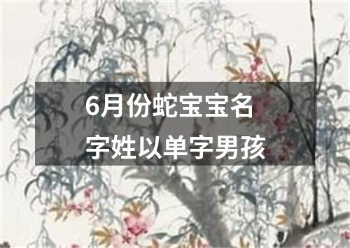 6月份蛇宝宝名字姓以单字男孩