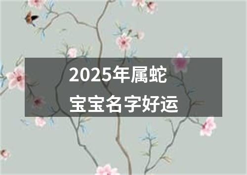 2025年属蛇宝宝名字好运