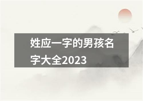 姓应一字的男孩名字大全2023