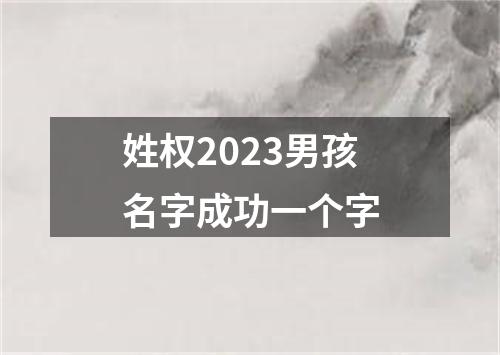 姓权2023男孩名字成功一个字