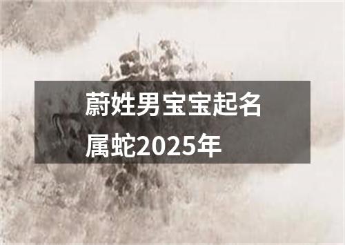 蔚姓男宝宝起名属蛇2025年