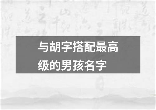 与胡字搭配最高级的男孩名字