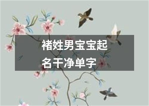 褚姓男宝宝起名干净单字