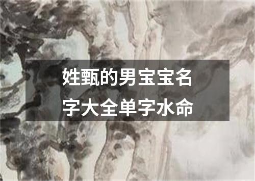 姓甄的男宝宝名字大全单字水命