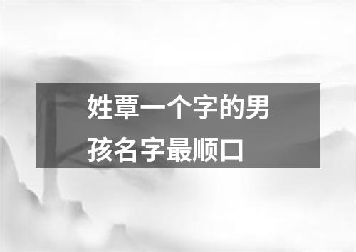 姓覃一个字的男孩名字最顺口