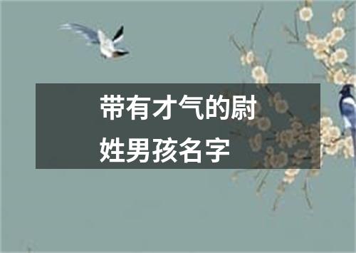 带有才气的尉姓男孩名字