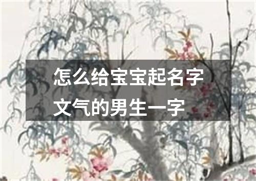 怎么给宝宝起名字文气的男生一字
