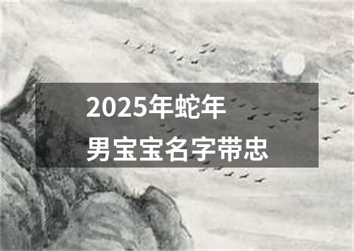 2025年蛇年男宝宝名字带忠