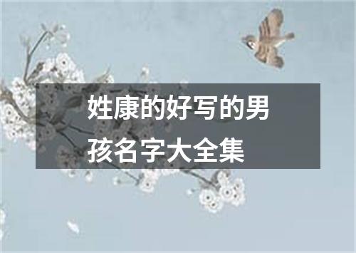 姓康的好写的男孩名字大全集